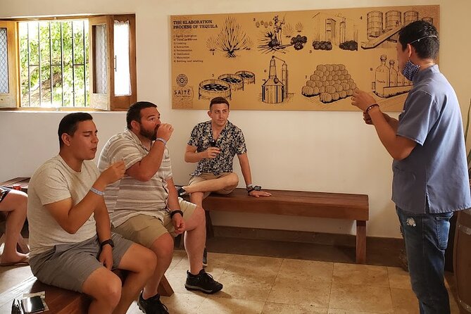 Tequila, Mezcal and Raicilla Tasting - Tequila, mezcal, and raicilla: what you are comparing