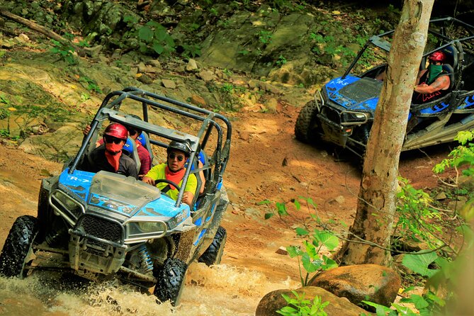 Unique Experience on ATVs or Razer through the Jungle! - Views, photos, and the feel of the ride