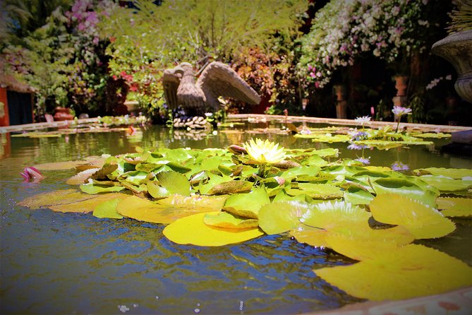 Vallarta Botanical Garden and Tequila Tasting from Puerto Vallarta - Who will enjoy this Puerto Vallarta outing