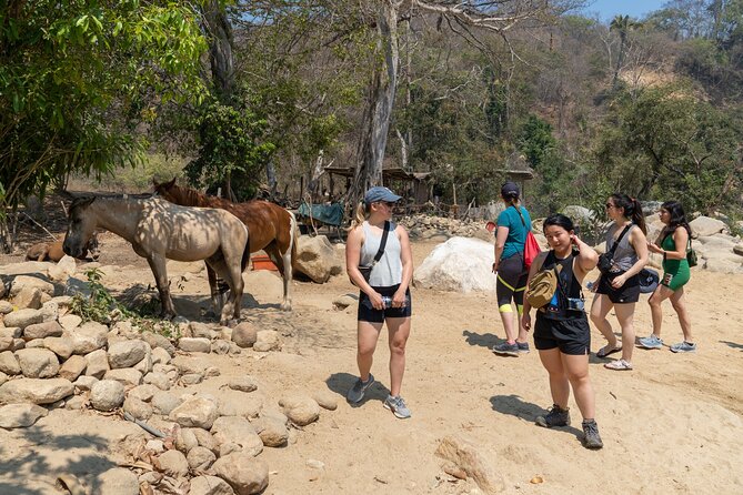 Waterfall in the jungle of Puerto Vallarta - Beach time, seafood, and a slower afternoon