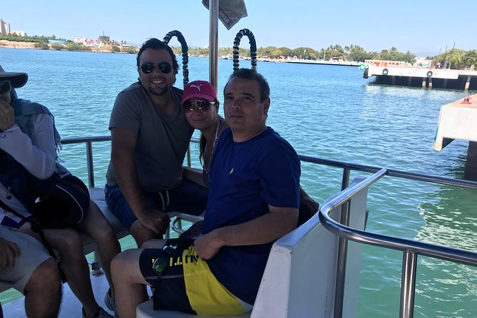 Whale & Dolphin Watching Cruise in Puerto Vallarta All Inclusive - The marine biologist adds meaning to each sighting