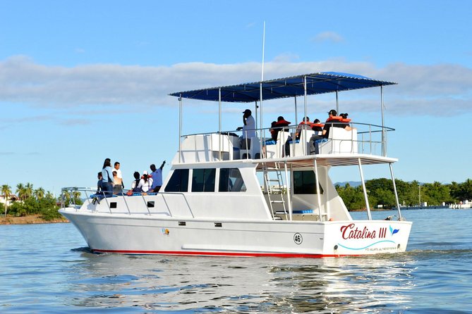 Whale & Dolphin Watching Cruise in Puerto Vallarta All Inclusive - Rough water and motion sickness