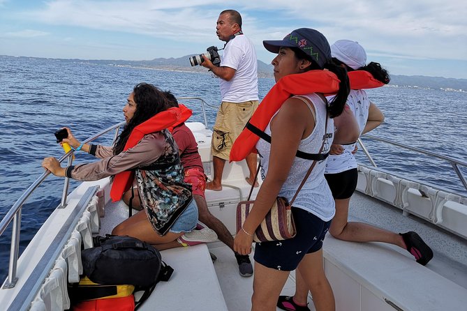 Whale Encounter Puerto Vallarta - What happens during the three-hour whale search