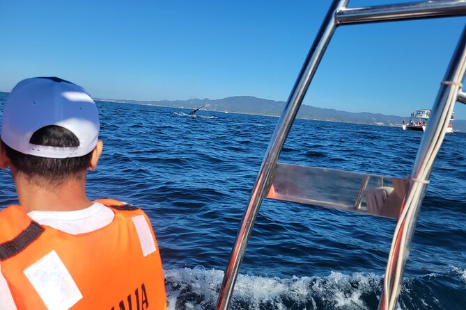Whale watching 3 hours in Puerto Vallarta - Is $48 good value?
