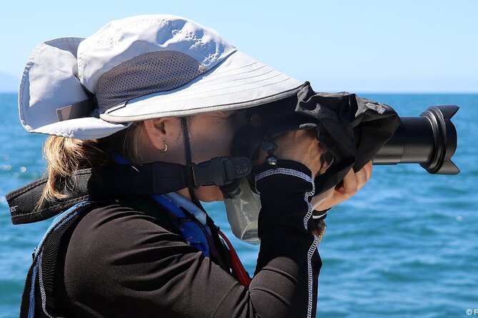 Whale Watching Adventure – Led by a Marine Biologist - Cost, timing, and cancellation rules