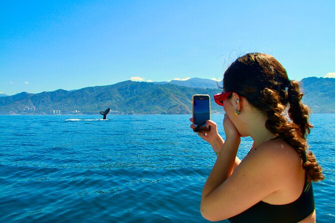 Whale Watching and Los Arcos 5 Islands Adventure - Key points to know before booking