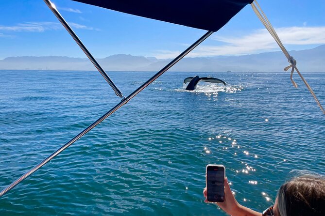 Whale Watching and Los Arcos 5 Islands Adventure - Starting at Playa Mismaloya