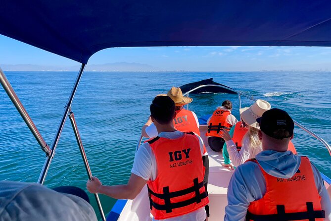 Whale Watching and Los Arcos 5 Islands Adventure - Two hours across Banderas Bay