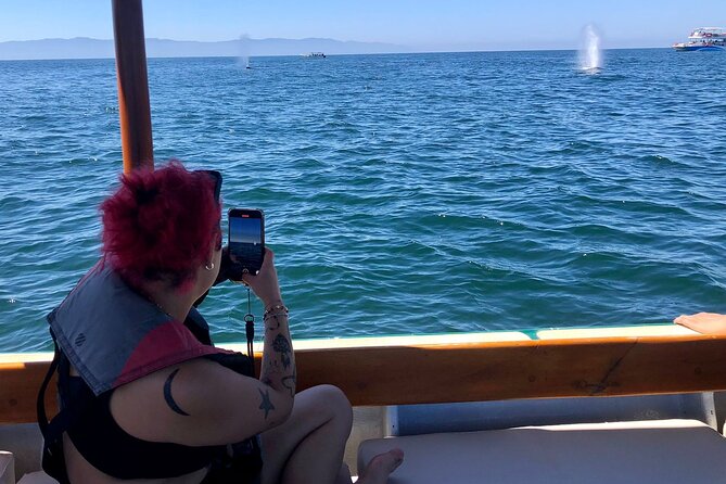 Whale Watching Experience – 4 Hours in Puerto Vallarta - What the four hours on Bruna are designed to deliver
