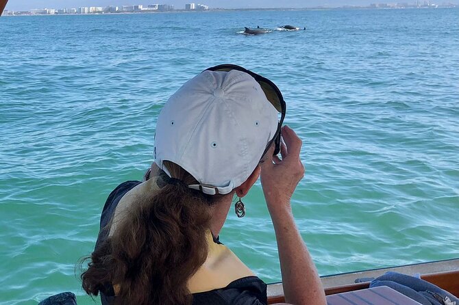Whale Watching Experience – 4 Hours in Puerto Vallarta - How the $149.44 price measures up