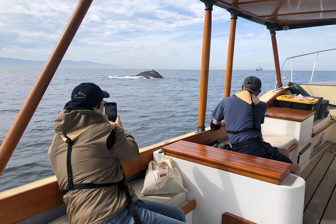 Whale Watching Experience – 4 Hours in Puerto Vallarta - Who will get the most from this outing