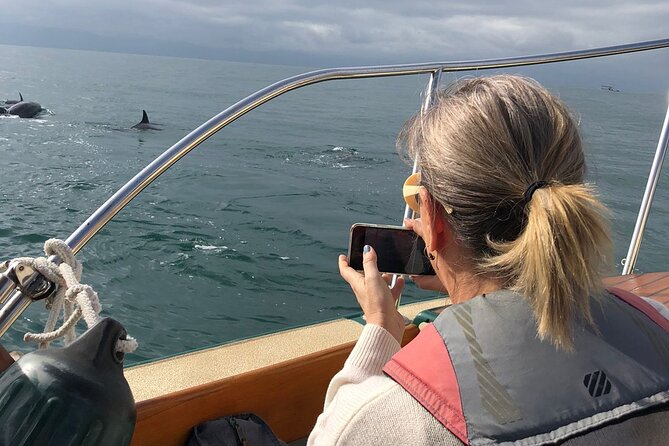 Whale Watching Experience – 4 Hours in Puerto Vallarta - Dates, booking, and cancellation details