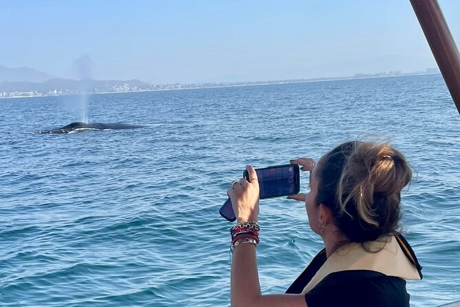 Whale Watching Experience in Puerto Vallarta - Key points before you book