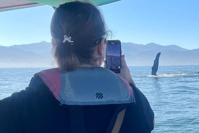 Whale Watching Experience in Puerto Vallarta - A small boat and a better way to watch whales