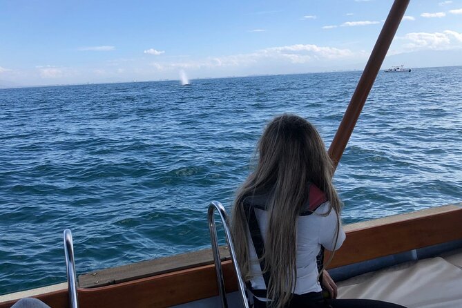 Whale Watching Experience in Puerto Vallarta - What the price includes at $148.66
