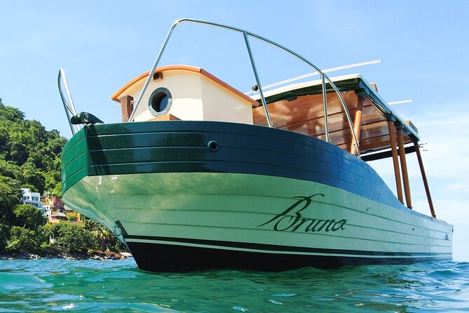 Whale Watching Experience in Puerto Vallarta - Who will get the most from this trip