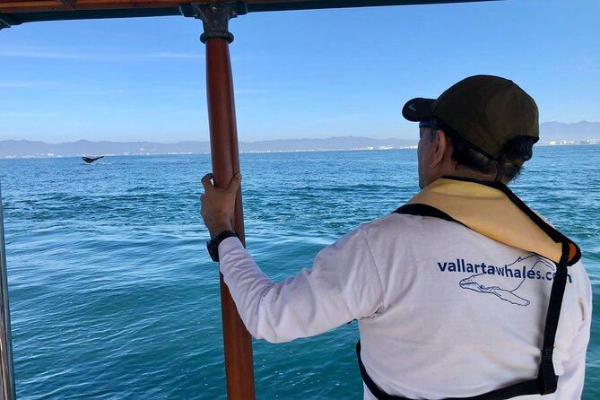Whale Watching Experience in Puerto Vallarta - Leaving Los Peines at 9:30 a.m.