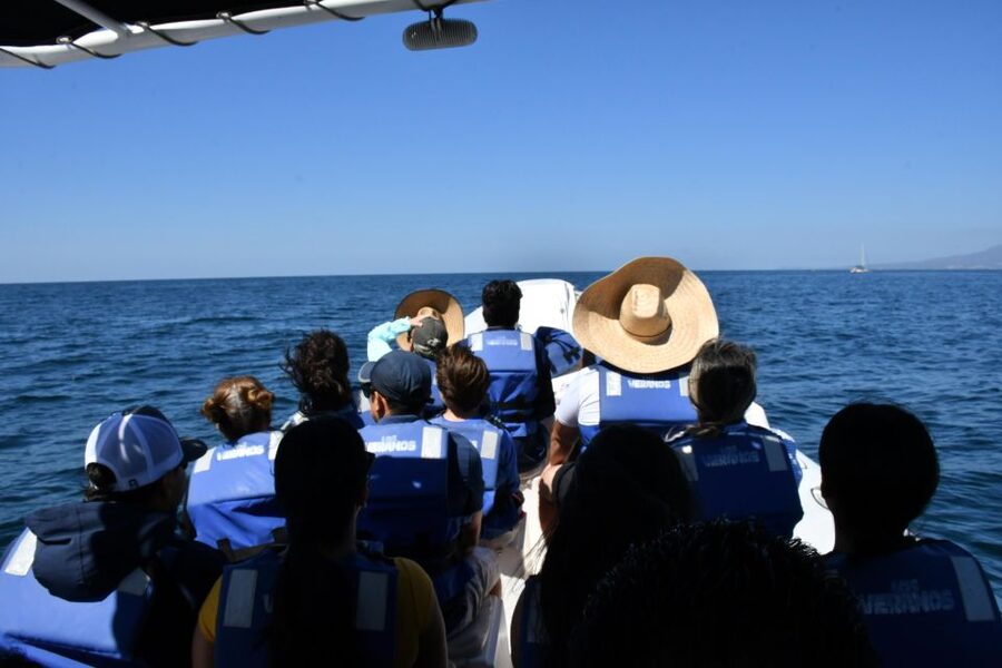 Whale Watching Guaranteed Experience in Puerto Vallarta - Key points to know before booking