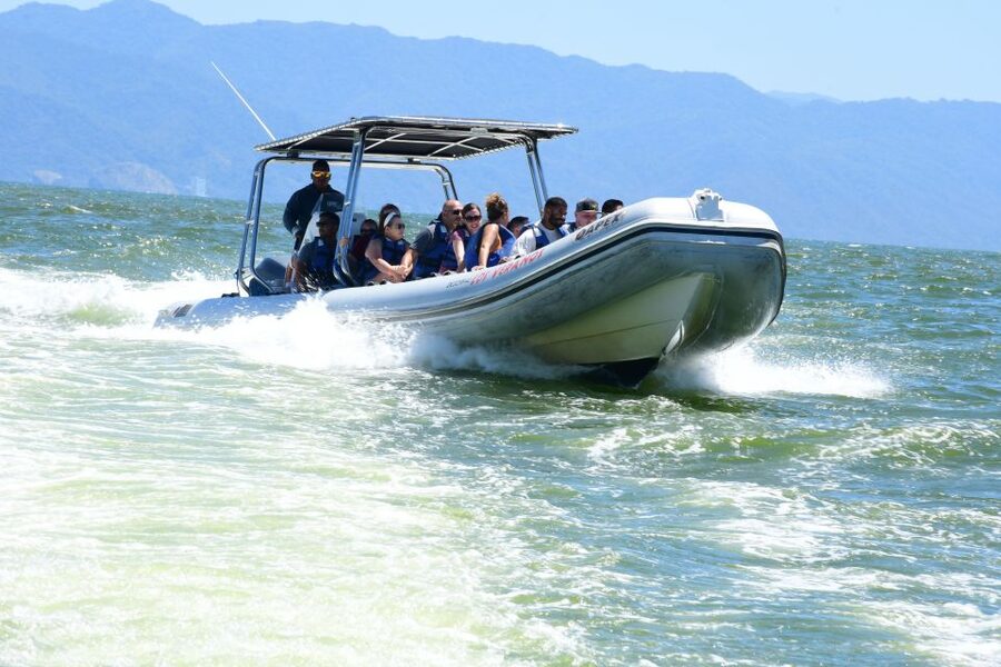 Whale Watching Guaranteed Experience in Puerto Vallarta - What the three-hour whale watch is really like
