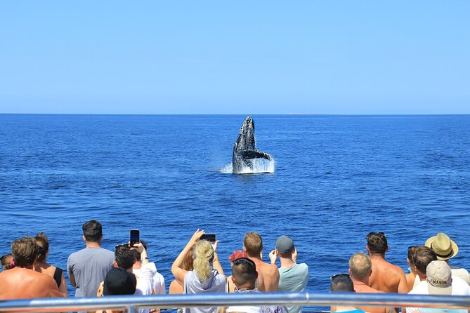 Whale Watching in Puerto Vallarta - Food, drinks, and the onboard mood