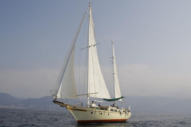 Whale Watching The Best Of Puerto Vallarta - Watching whales without expecting a staged show
