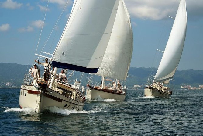 Whale Watching The Best Of Puerto Vallarta - Snacks, drinks, and the value of a relaxed boat day