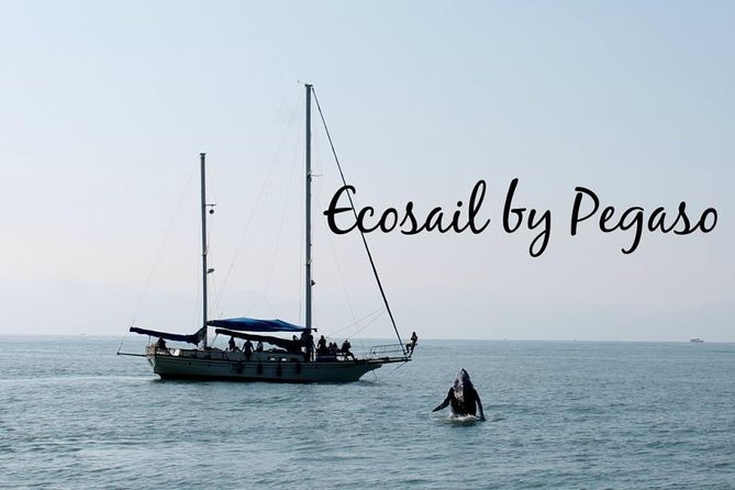 Whale Watching The Best Of Puerto Vallarta - Booking, weather, and cancellation advice