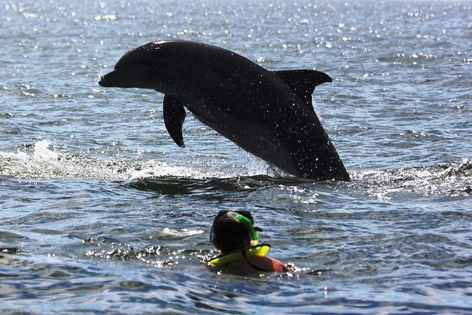 Wild Dolphin Encounter & Snorkeling Adventure - Snorkeling at Los Arcos de Mismaloya