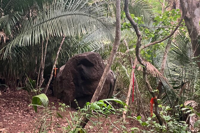 Wixárika Indigenous Blessing: Sacred Walk in the Jungle - How the blessings shape the experience
