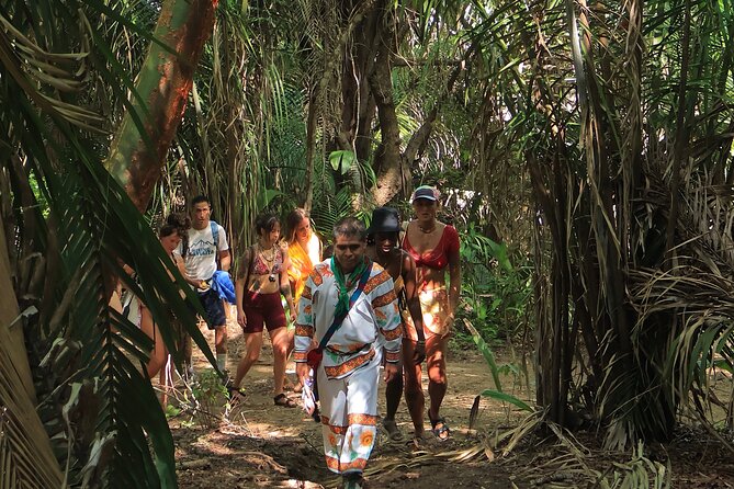 Wixárika Indigenous Blessing: Sacred Walk in the Jungle - Price, group size, and what is included