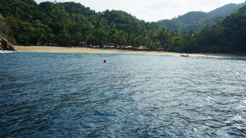 Yelapa: Catamaran Cruise with Lunch and Open Bar - Who should book this catamaran day