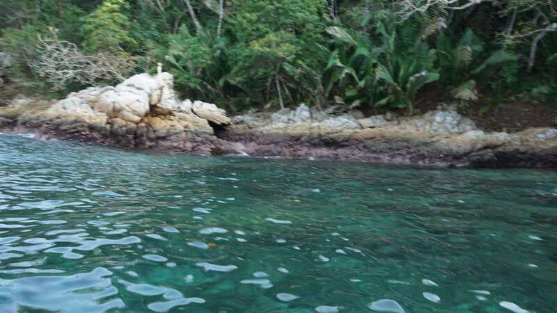 Yelapa: Catamaran Cruise with Lunch and Open Bar - Booking details worth checking first
