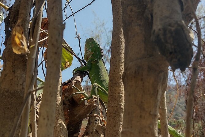 Yelapa escape - Who will enjoy this outing most