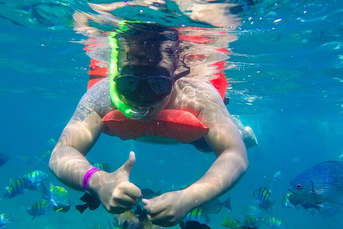 Yelapa Waterfall, BBQ at Exclusive Majahuitas Beach & Open bar - Majahuitas Beach, lunch, and water sports